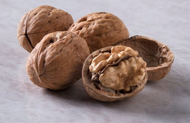 Walnut